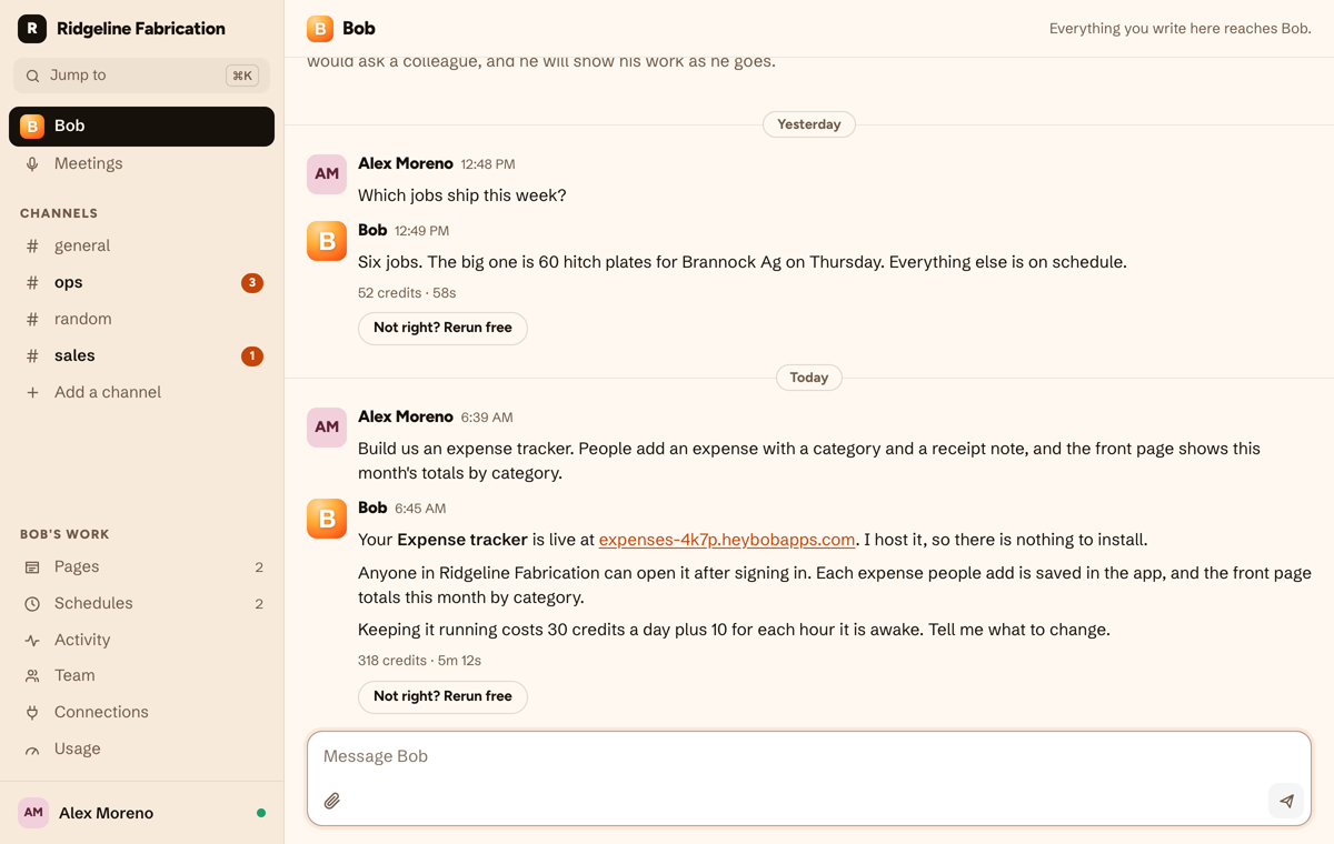 The HeyBob app: a teammate asks Bob for an expense tracker, and Bob replies that the Expense tracker is live at its own heybobapps.com address, that anyone in the workspace can open it after signing in, and what it costs to keep running.